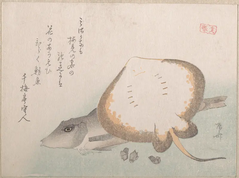 Stingray and Gurnard