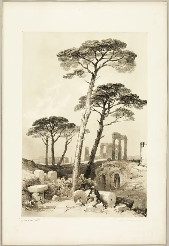 Stone Pines, from The Park and the Forest