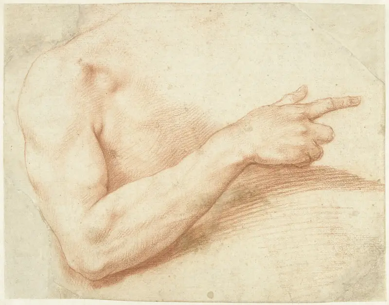Studie van een arm Wall Art by Giuseppe Cesari - High-Resolution Digital Print