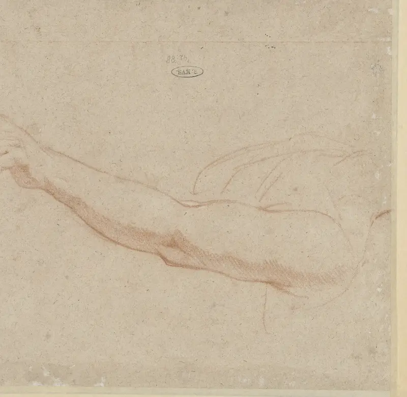 Studie van een arm Wall Art by anonymous - High-Resolution Digital Print