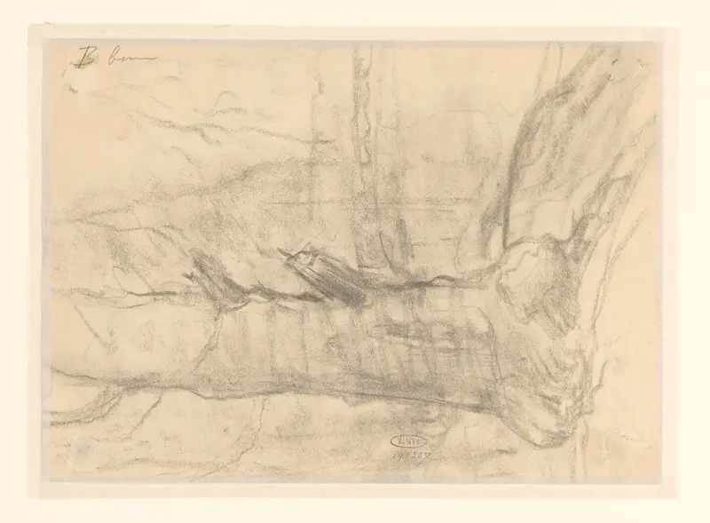 Studie van een boom Wall Art by Sientje Mesdag-van Houten - High-Resolution Digital Print
