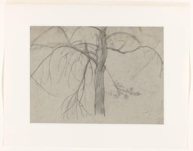 Studie van een boom Wall Art by Richard Nicolaüs Roland Holst - High-Resolution Digital Print