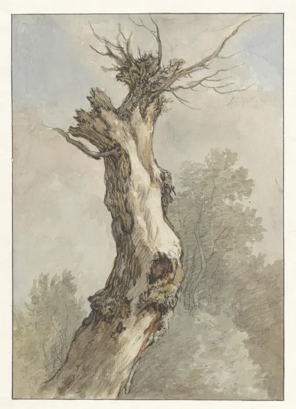 Studie van een boom Wall Art by A.E.G. Roelofs - High-Resolution Digital Print