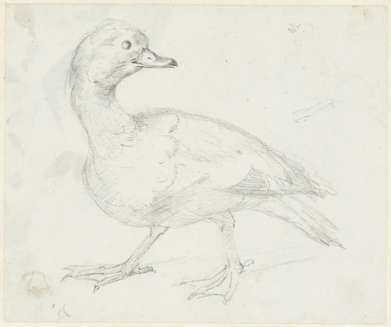 Studie van een eend en twee andere vogels Wall Art by Aert Schouman - High-Resolution Digital Print