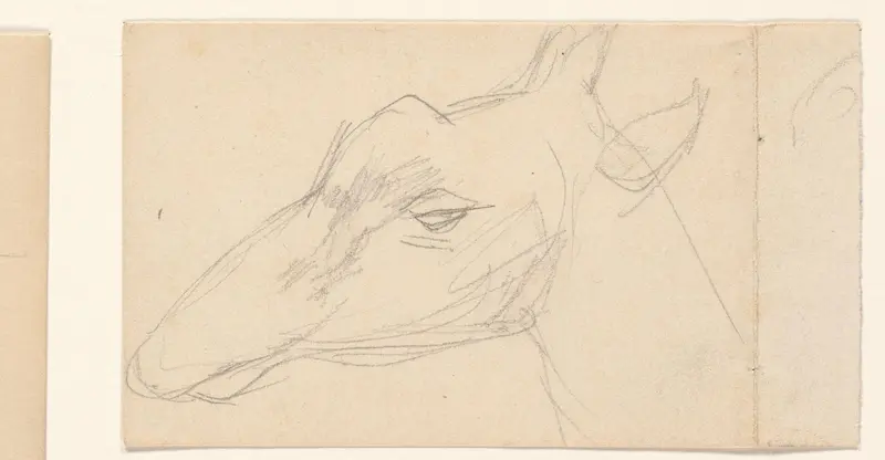 Studie van een giraffenkop Wall Art by August Allebé - High-Resolution Digital Print
