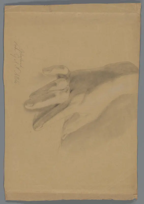 Studie van een hand Wall Art by Gerard Allebé - High-Resolution Digital Print