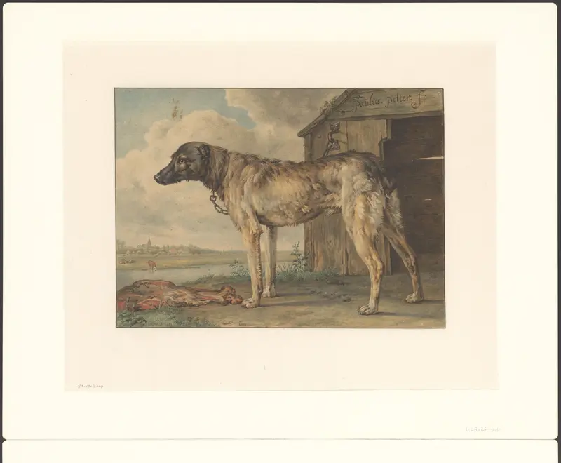 Studie van een hond Wall Art by Unknown - High-Resolution Digital Print