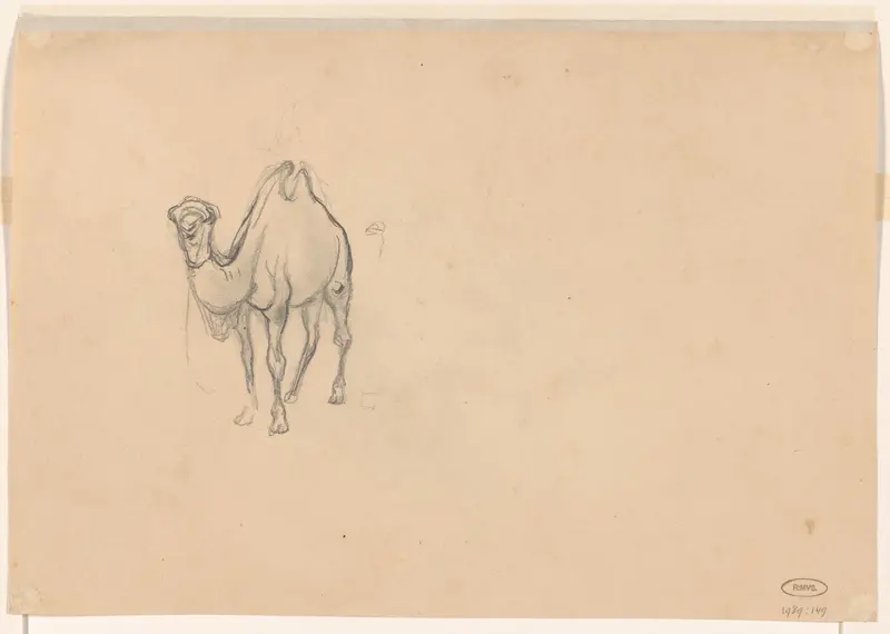 Studie van een kameel Wall Art by Cornelis Kruseman - High-Resolution Digital Print