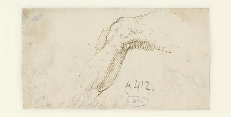 Studie van een knie met boven- en onderbeen Wall Art by Crispijn van de Passe (I) - High-Resolution Digital Print