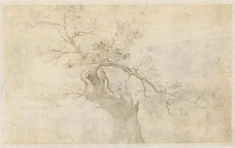 Studie van een knoestige boom Wall Art by Paulus Willemsz. van Vianen - High-Resolution Digital Print