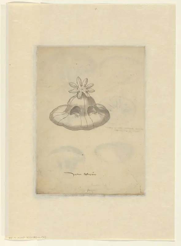 Studie van een kwal Wall Art by anonymous - High-Resolution Digital Print