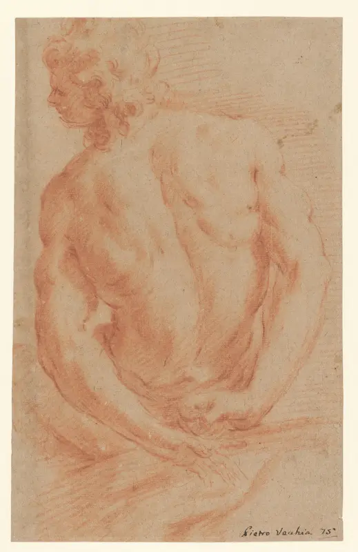 Studie van een mannelijk naakt Wall Art by Pietro della Vecchia - High-Resolution Digital Print