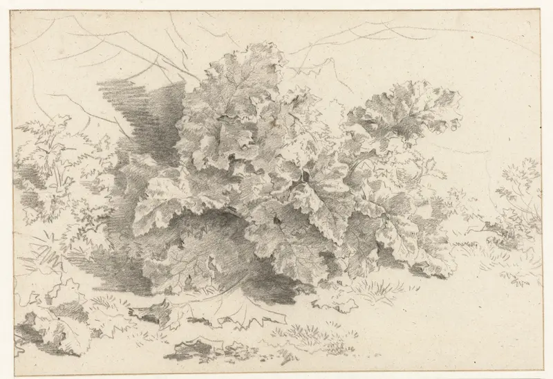 Studie van een rabarberplant Wall Art by Nicolaes Pietersz Berchem - High-Resolution Digital Print