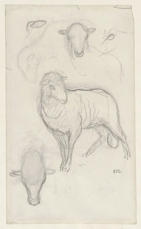Studie van een schaap en drie schaapskoppen Wall Art by Pierre Cécile Puvis de Chavannes - High-Resolution Digital Print