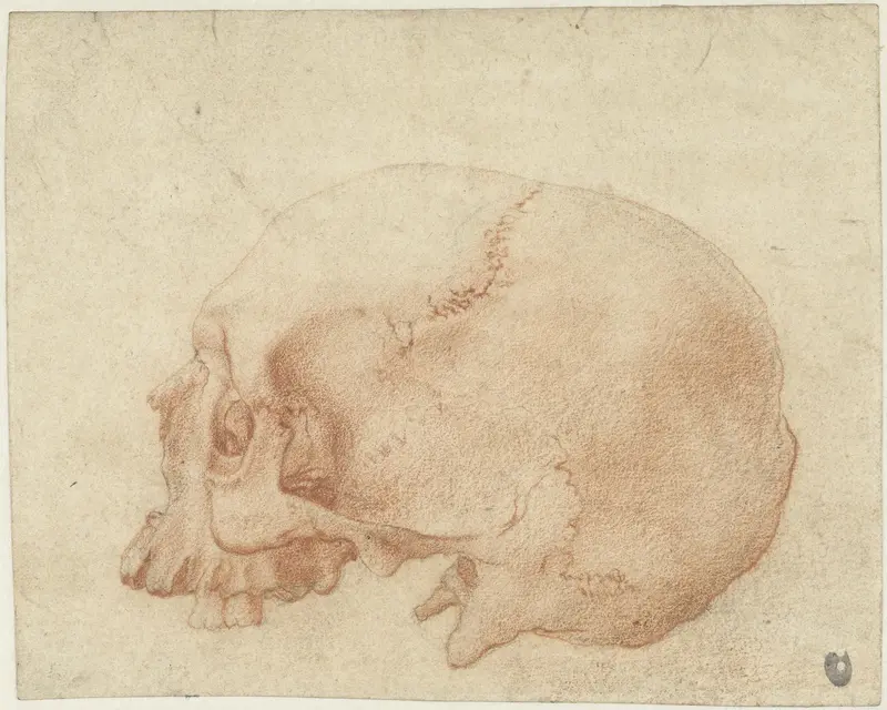 Studie van een schedel Wall Art by Alessandro Allori - High-Resolution Digital Print