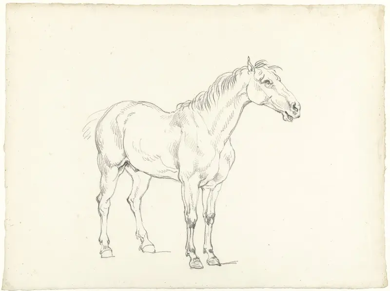 Studie van een staand paard, naar rechts Wall Art by Hendrik Voogd - High-Resolution Digital Print