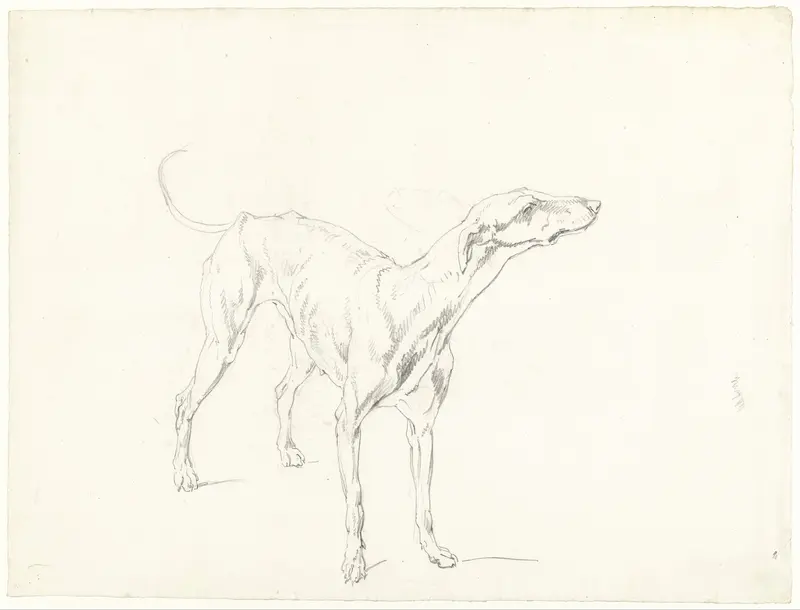 Studie van een staande hond, naar rechts Wall Art by Hendrik Voogd - High-Resolution Digital Print
