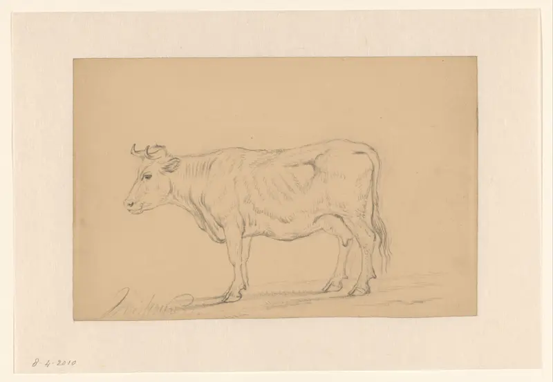 Studie van een staande koe Wall Art by Hendrik Verspoeken - High-Resolution Digital Print
