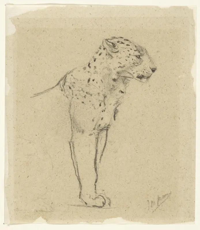 Studie van een staande luipaard Wall Art by Unknown - High-Resolution Digital Print