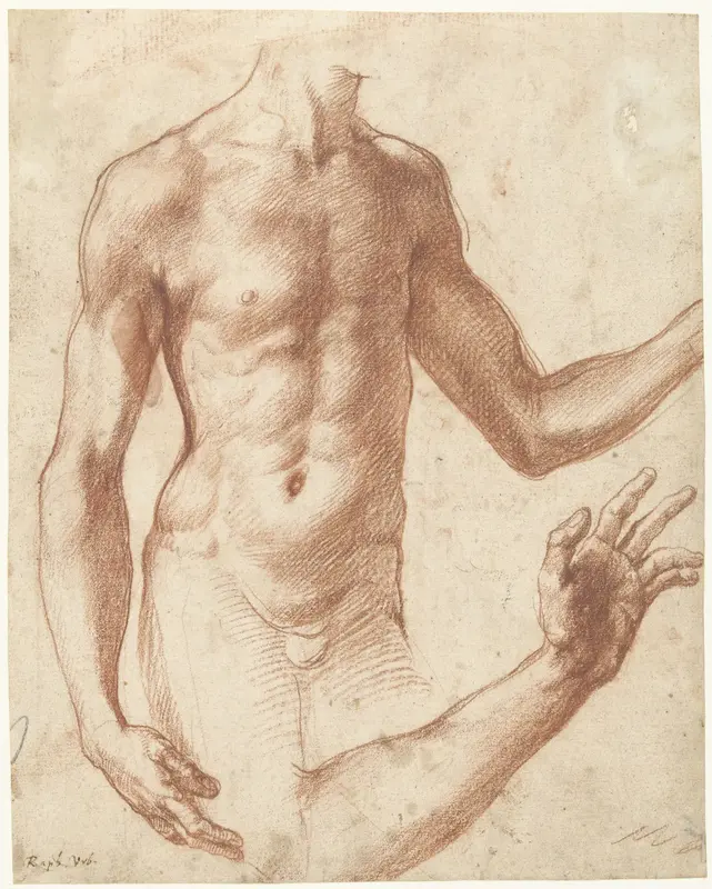 Studie van een torso Wall Art by Perino del Vaga - High-Resolution Digital Print