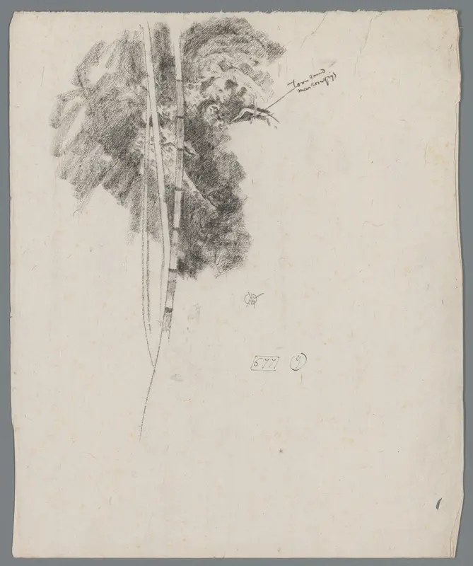 Studie van een waterplant Wall Art by Unknown - High-Resolution Digital Print