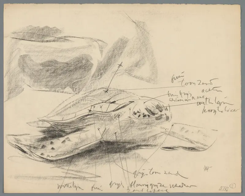 Studie van een zeeschildpad Wall Art by Unknown - High-Resolution Digital Print