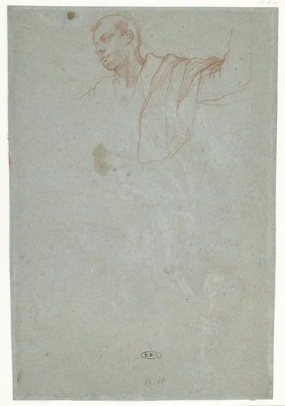 Studie van het bovenlichaam van een jongeman Wall Art by Bartolomeo Cesi - High-Resolution Digital Print