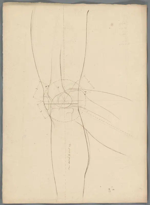 Studie van het kniegewricht Wall Art by Unknown - High-Resolution Digital Print