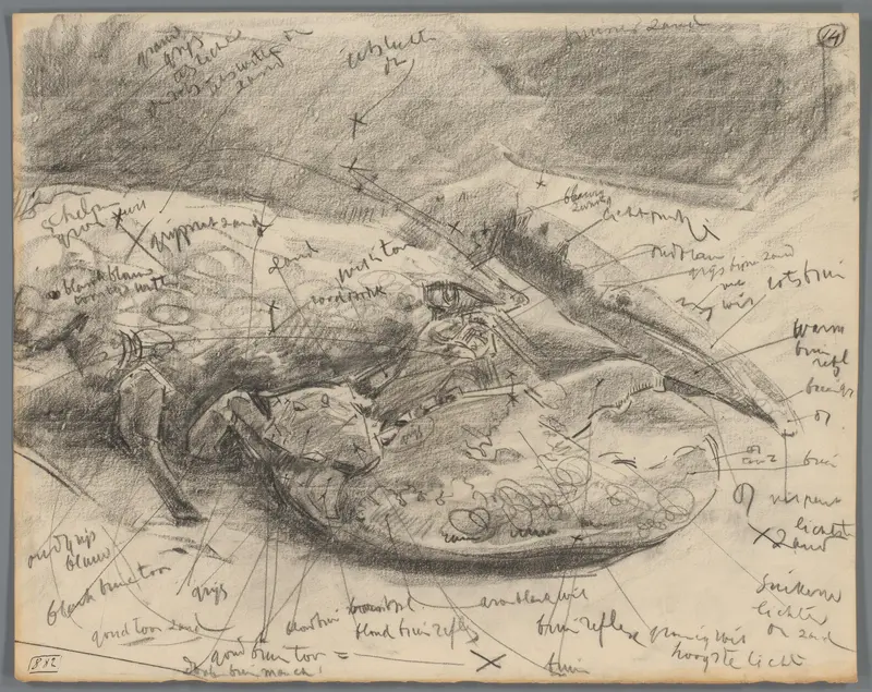 Studie van het kopstuk en de scharen van een kreeft Wall Art by Gerrit Willem Dijsselhof - High-Resolution Digital Print