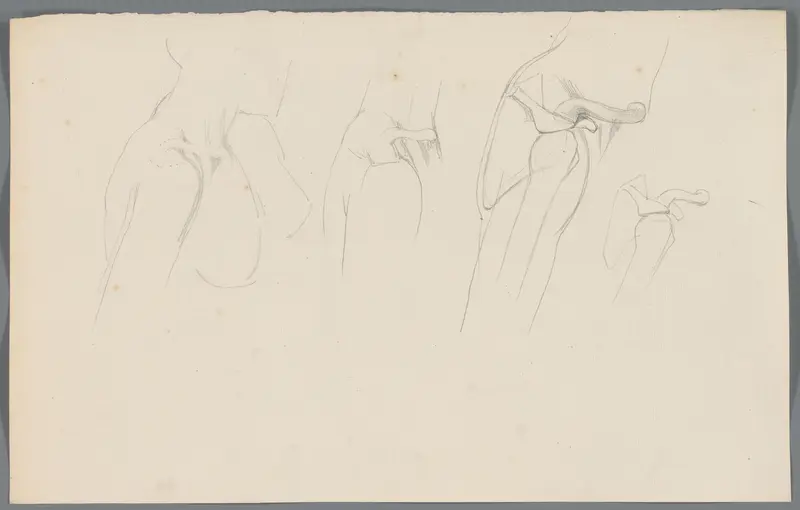 Studie van het schoudergewricht Wall Art by Unknown - High-Resolution Digital Print