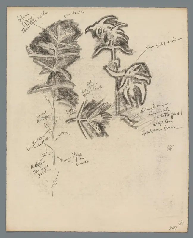 Studie van planten Wall Art by Unknown - High-Resolution Digital Print