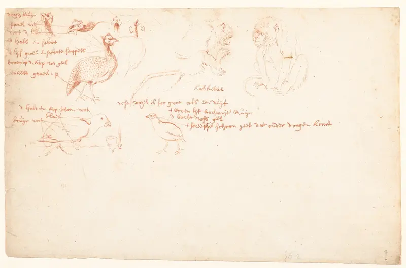 Studie van twee apen en een aantal parelhoenders Wall Art by anonymous - High-Resolution Digital Print
