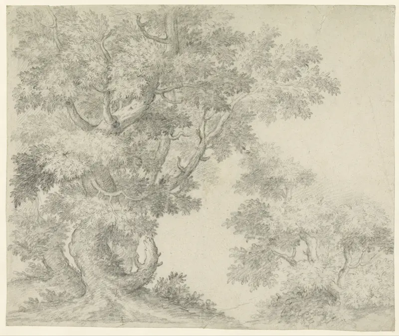 Studie van twee boomgroepen Wall Art by Unknown - High-Resolution Digital Print
