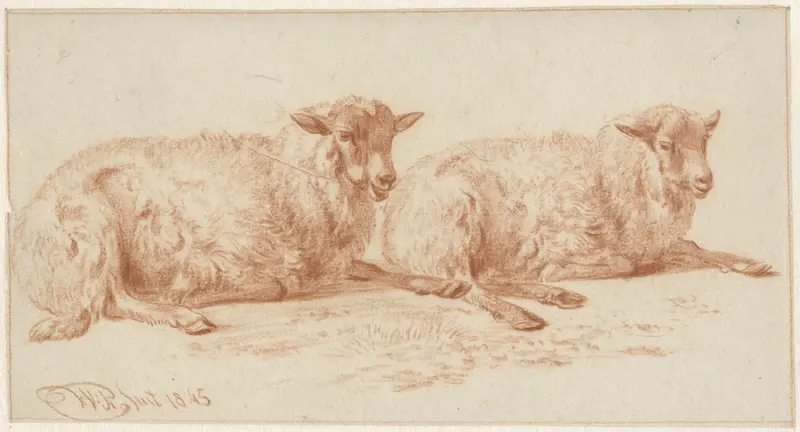 Studie van twee liggende schapen Wall Art by Jan van Ravenswaay - High-Resolution Digital Print