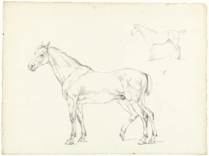 Studie van twee paarden, naar links Wall Art by Hendrik Voogd - High-Resolution Digital Print
