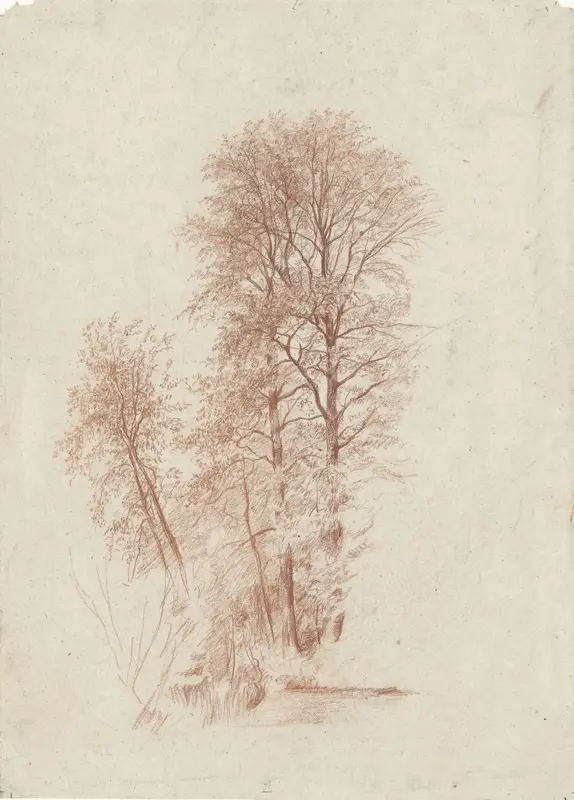Studie van twee slanke en enige kleinere bomen in blad Wall Art by Charles-François Daubigny - High-Resolution Digital Print