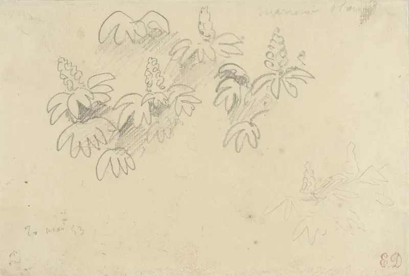 Studieblaadje met plantjes: witte kastanje Wall Art by Eugène Delacroix - High-Resolution Digital Print