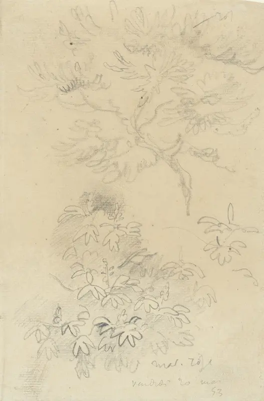 Studieblaadje met roze kastanje Wall Art by Eugène Delacroix - High-Resolution Digital Print