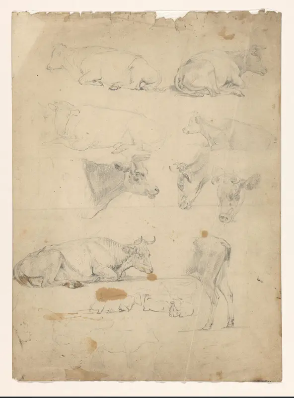 Studieblad met diverse studies van koeien Wall Art by Jan Bedijs Tom - High-Resolution Digital Print