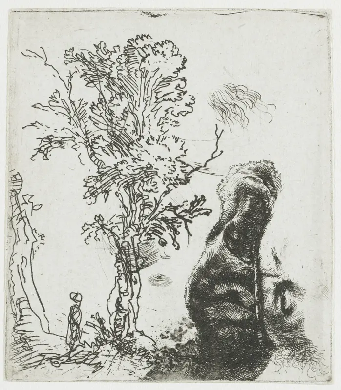 Studieblad met een boom, en het bovenste deel van Rembrandts hoofd met baret Wall Art by Rembrandt van Rijn - High-Resolution Digital Print