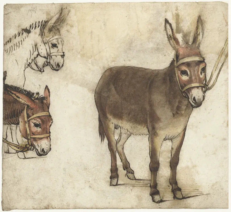 Studieblad met ezels Wall Art by Gerard ter Borch (I) - High-Resolution Digital Print