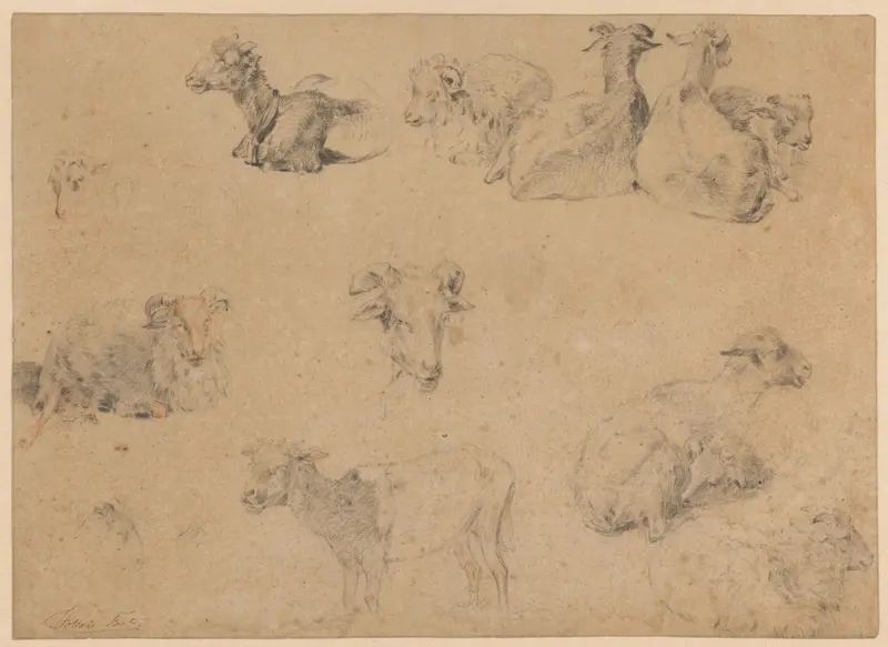 Studieblad met geiten en schapen Wall Art by Unknown - High-Resolution Digital Print