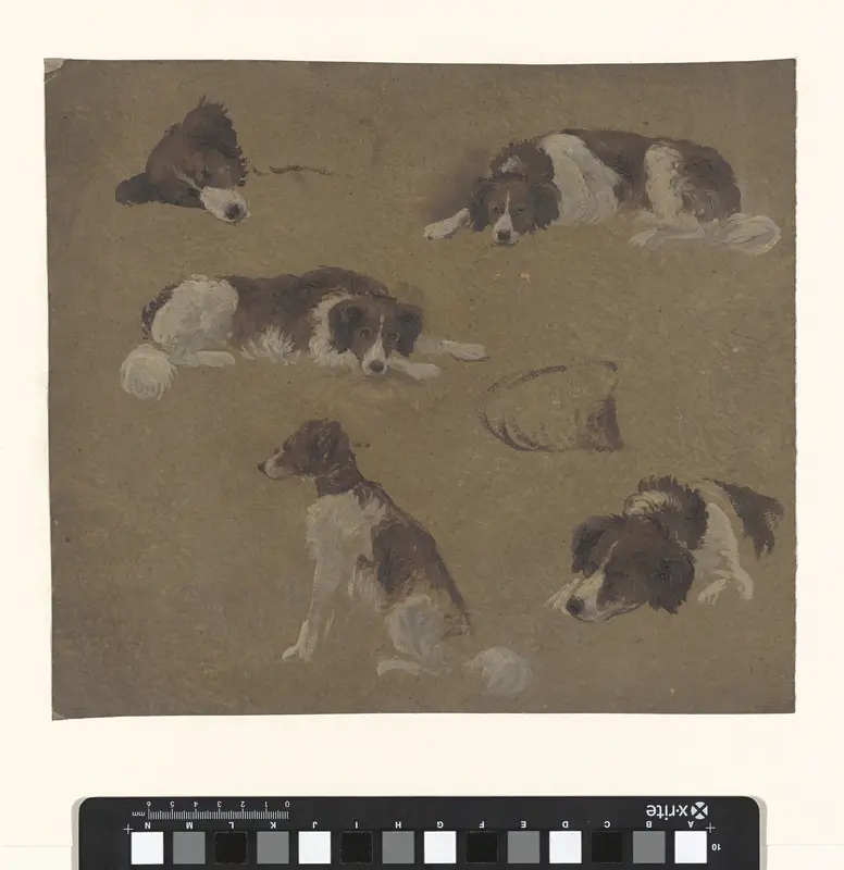 Studieblad met honden Wall Art by Pieter Jan Guise - High-Resolution Digital Print
