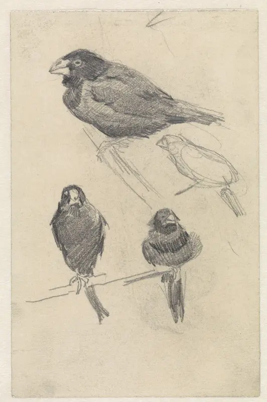 Studieblad met kleine vogels Wall Art by Jan van Essen - High-Resolution Digital Print