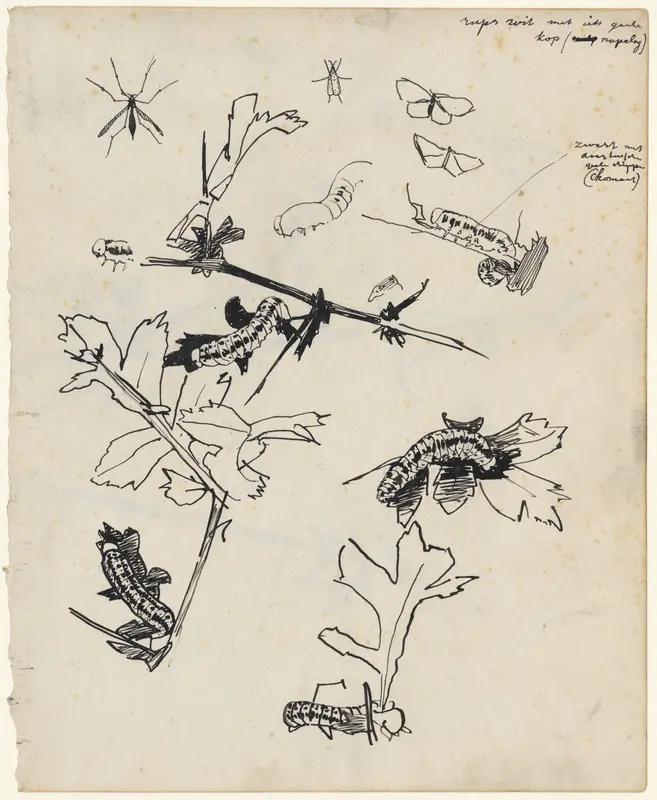 Studieblad met rupsen en andere insecten Wall Art by Theo Nieuwenhuis - High-Resolution Digital Print