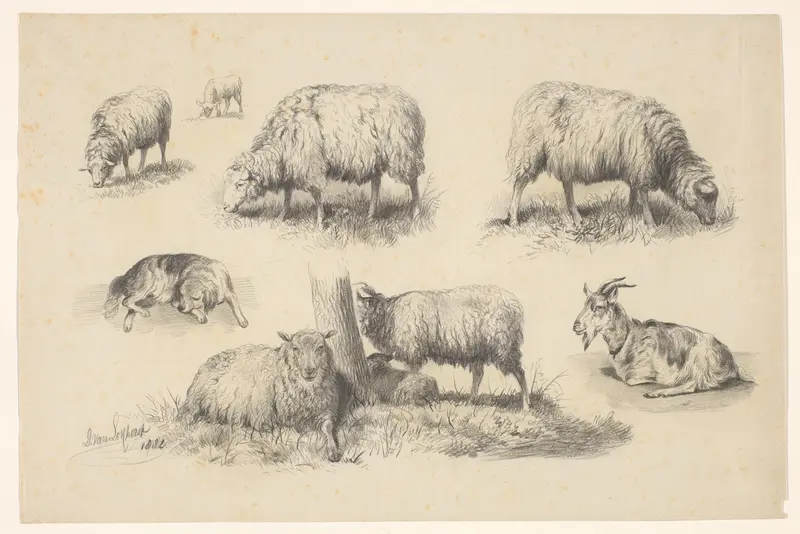 Studieblad met schapen, een geit en een hond Wall Art by Unknown - High-Resolution Digital Print