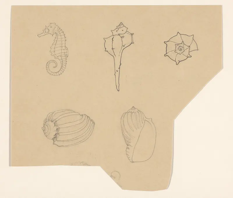 Studieblad met schelpen en een zeepaardje Wall Art by Julie de Graag - High-Resolution Digital Print