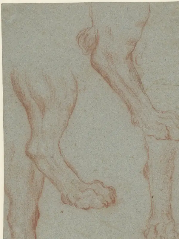 Studieblad met twee leeuwenpoten Wall Art by Leandro Bassano - High-Resolution Digital Print