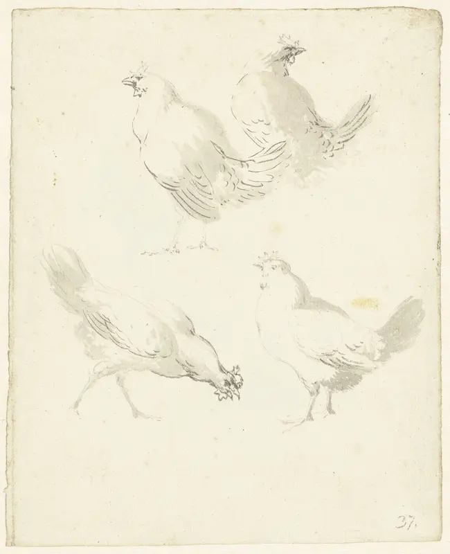Studieblad met vier kippen Wall Art by Aert Schouman - High-Resolution Digital Print