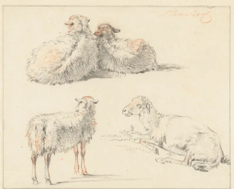 Studieblad met vier schapen Wall Art by Unknown - High-Resolution Digital Print